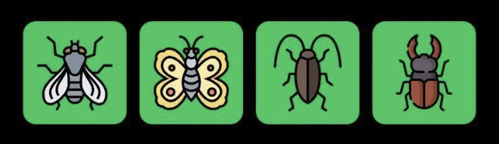 FLIES Daily Combo 25 April 2025
